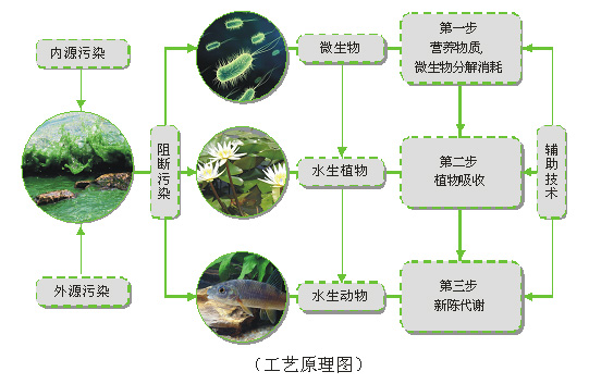 人工濕地污水處理技術的優(yōu)點與缺點