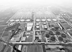 探訪鄭州新區(qū)污水處理廠 一天可以吃掉600噸污泥